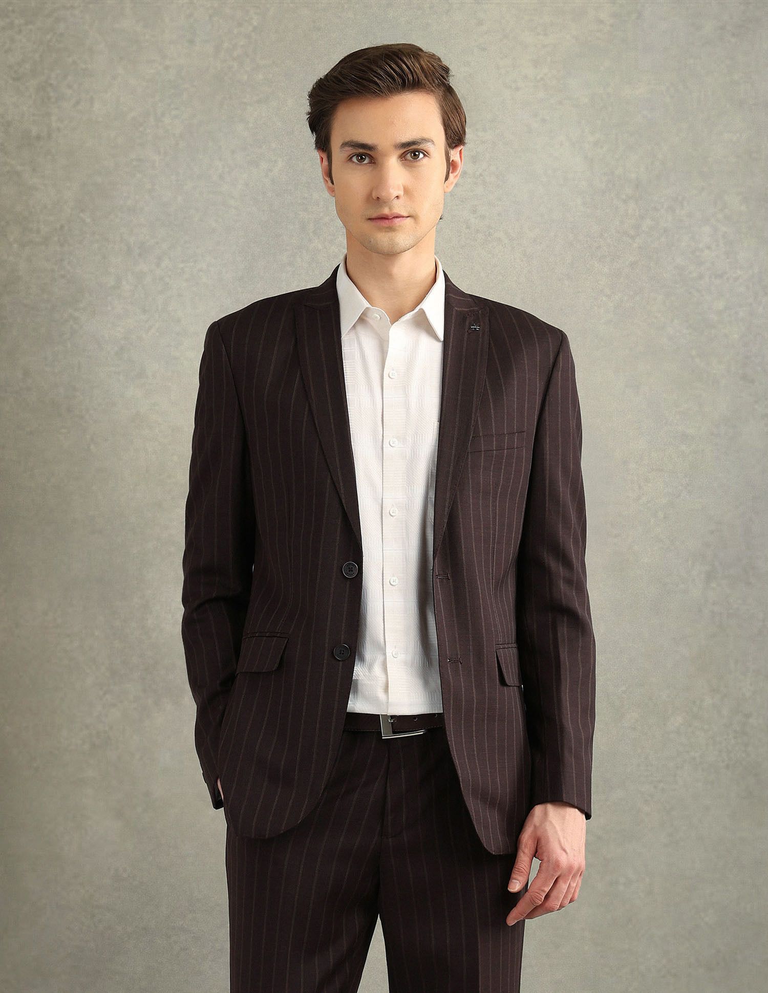 arrow Men 2-piece Striped Suit-picture-38