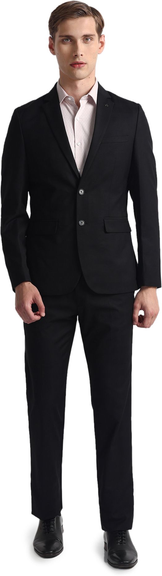 arrow Men Two Piece Solid Suit-picture-14