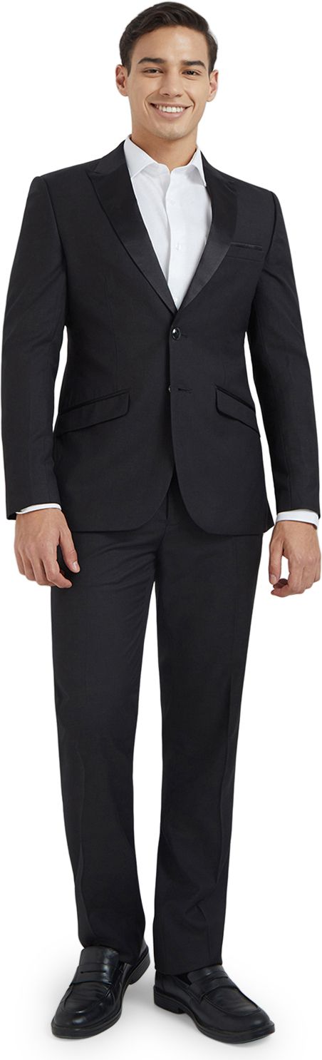 raymond Men 2 Pc Suit Solid Suit-picture-25