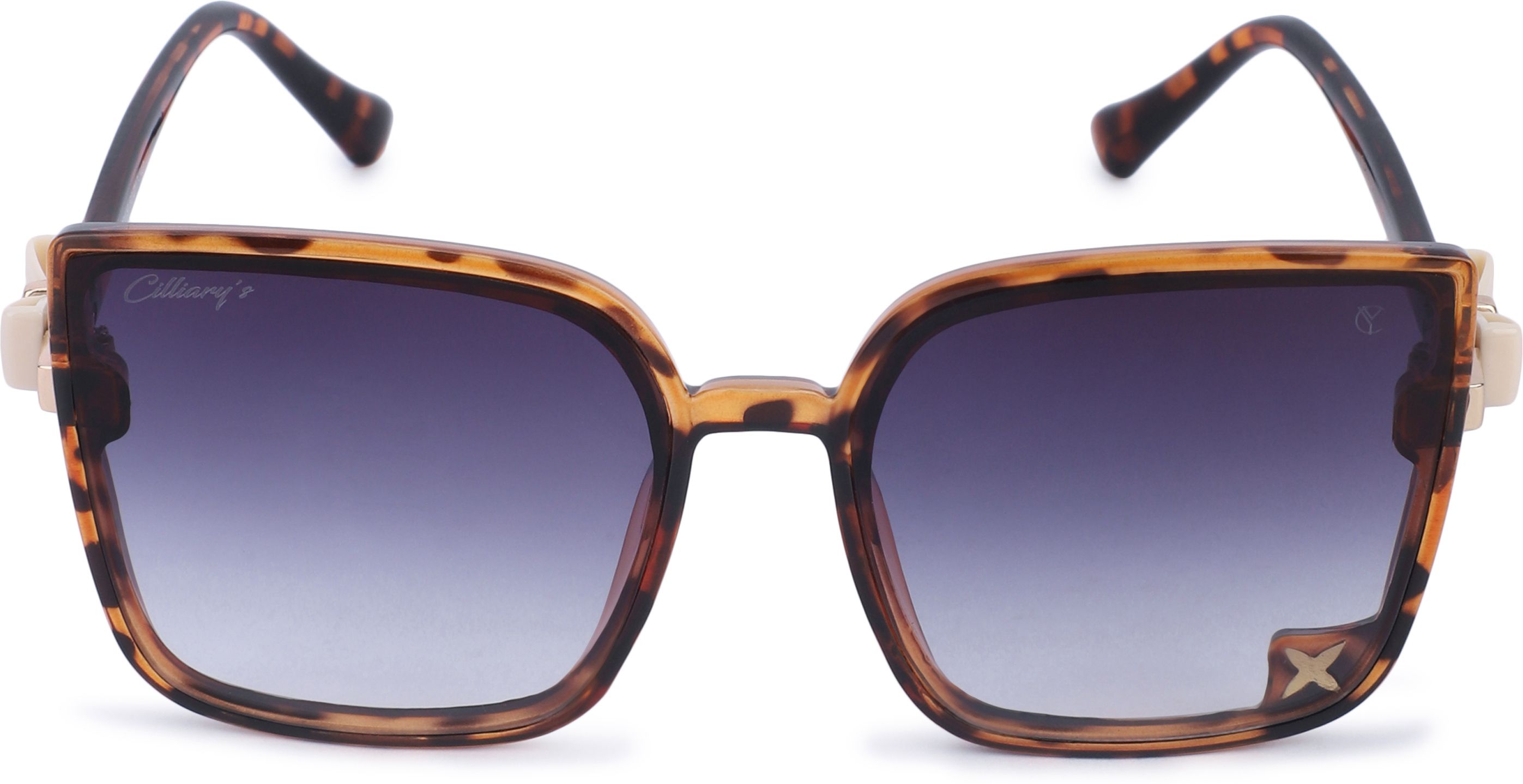 cilliary's Gradient Over-sized Sunglasses (60)-picture-29