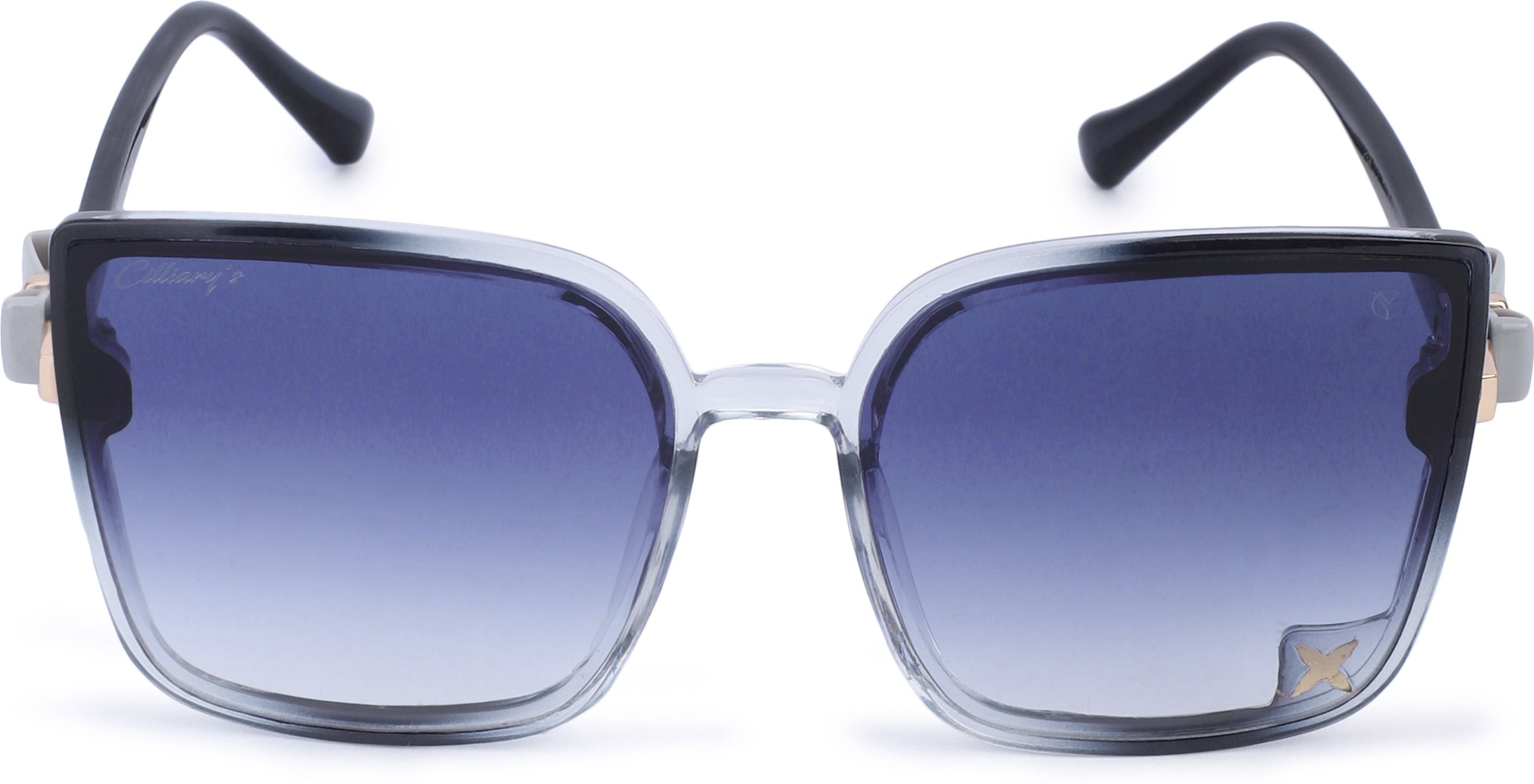 cilliary's Gradient Over-sized Sunglasses (60)-picture-46