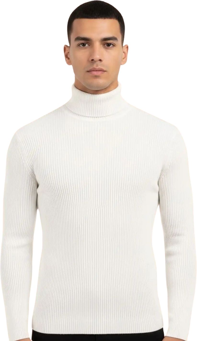 Men Solid Turtle Neck White Sweater-image-12