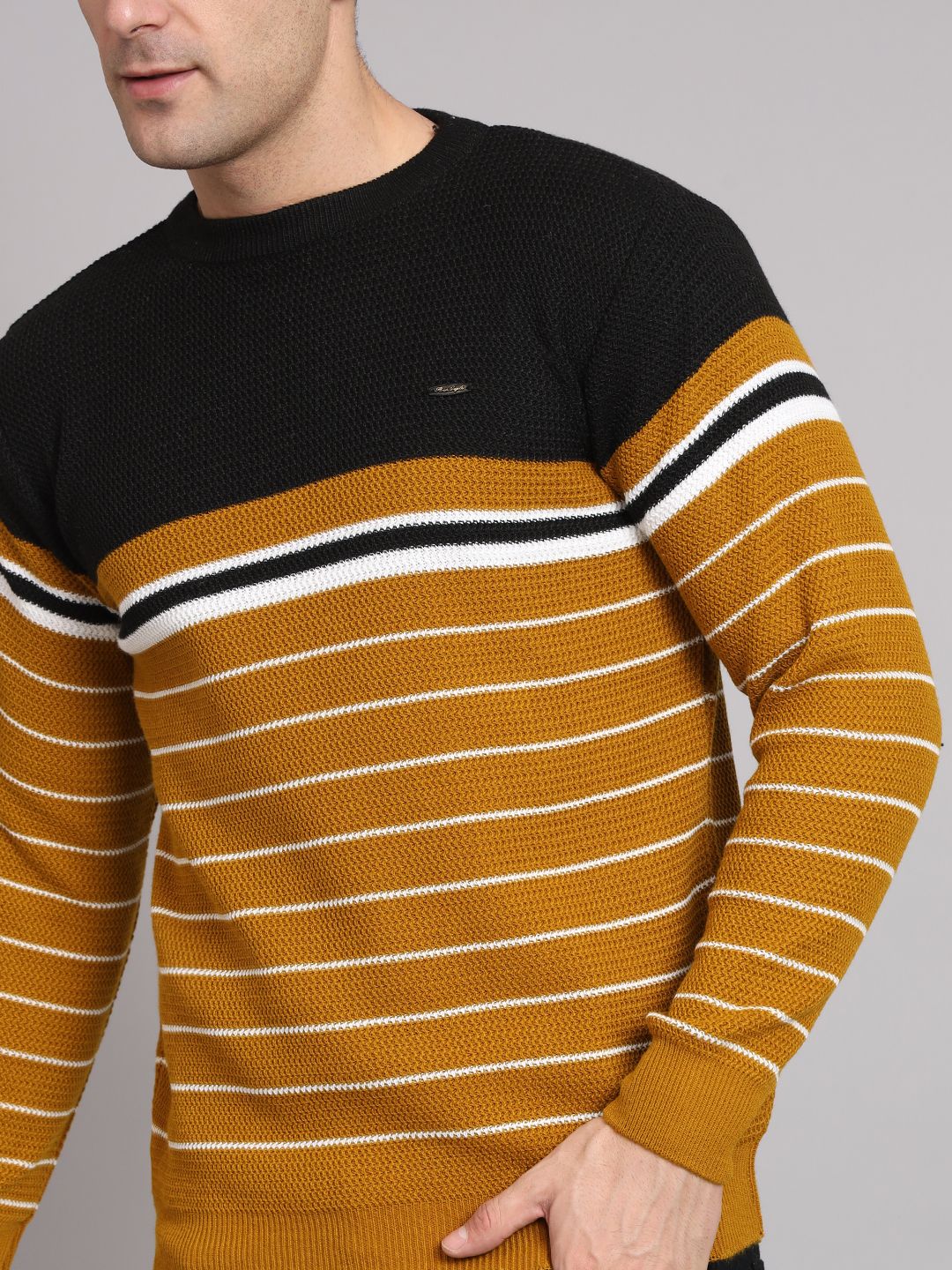 Men Striped Round Neck Multicolor Sweater-image-12