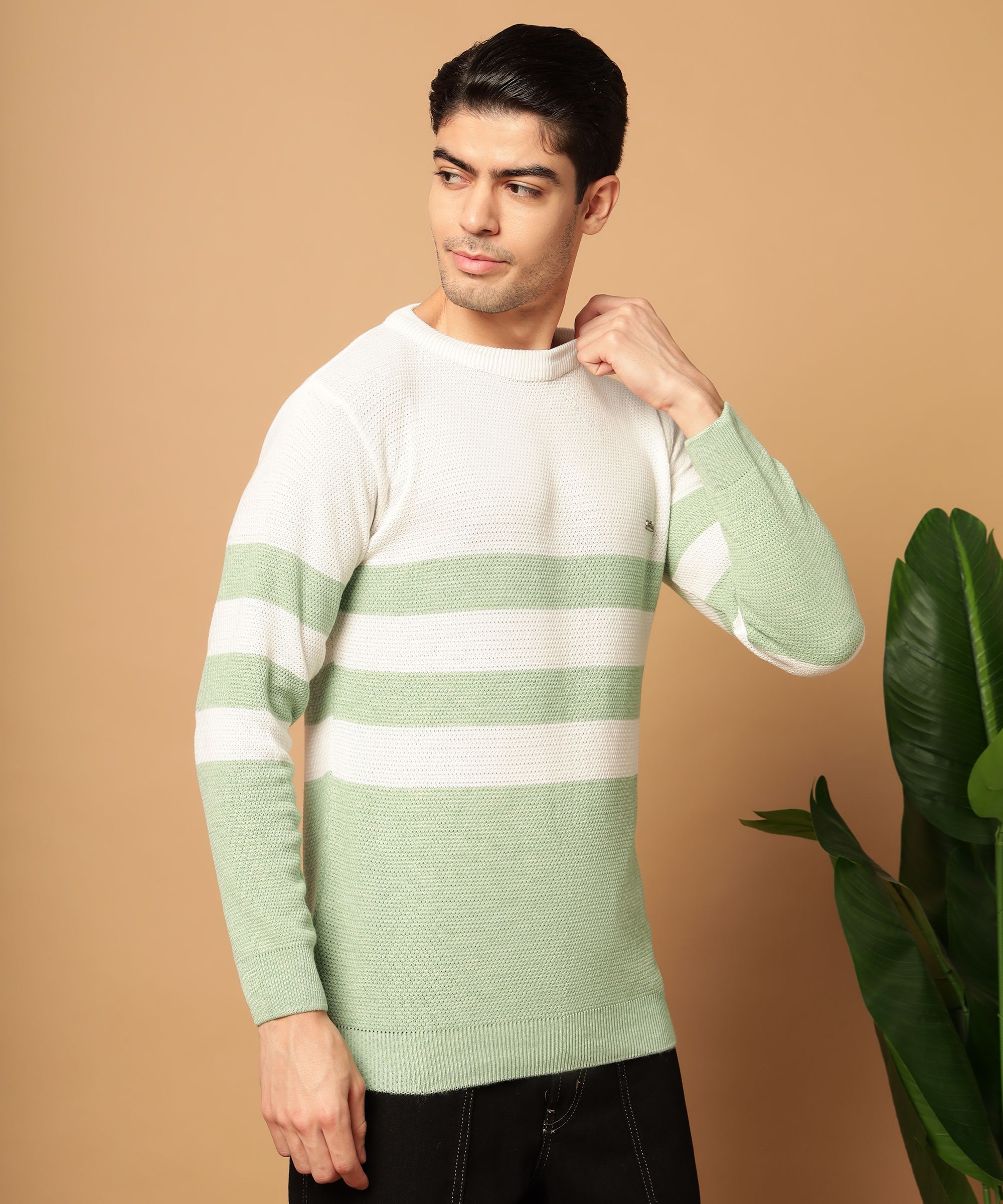 willey Men Striped Round Neck Multicolor Sweater-picture-8