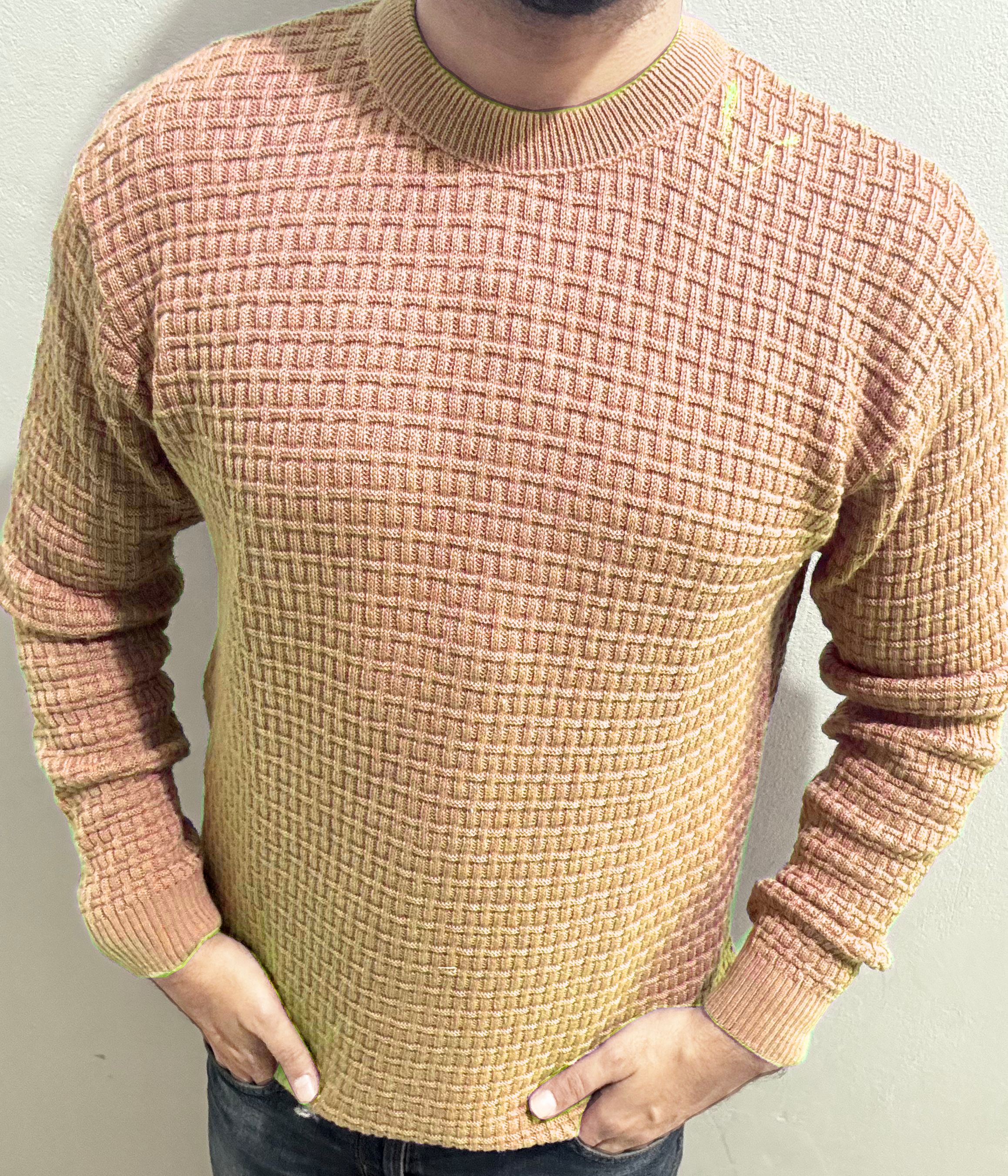 Men Solid Round Neck Beige Sweater-image-42