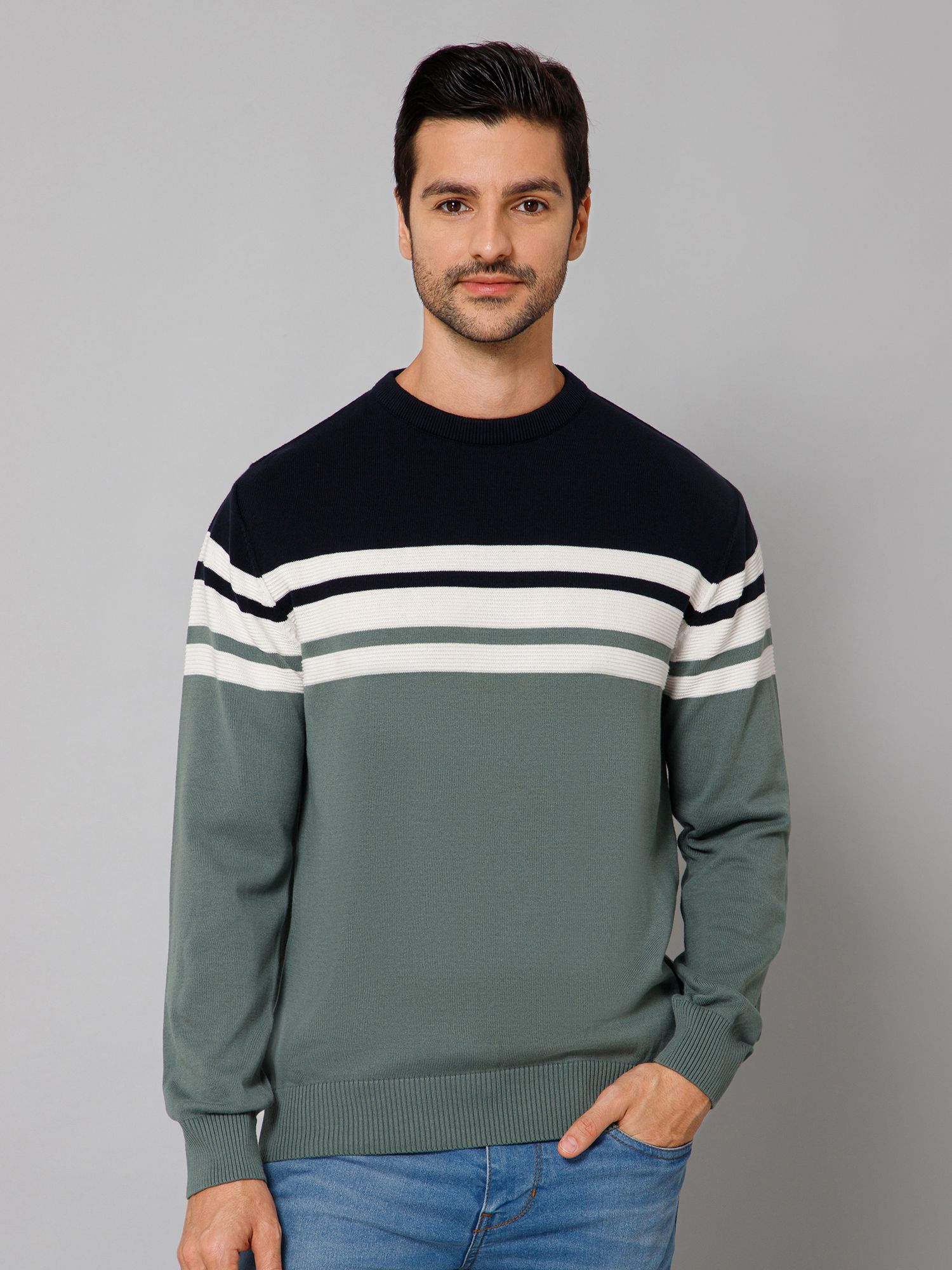 cantabil Men Striped Round Neck Green Sweater-picture-12