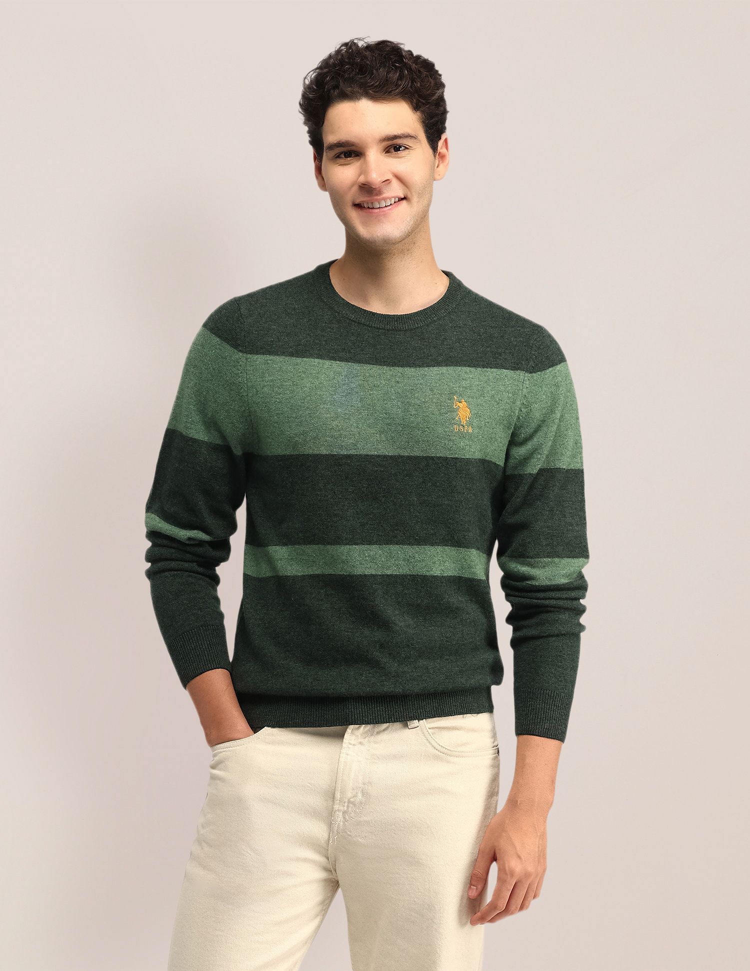 u.s. polo assn. Men Colorblock Round Neck Green Sweater-picture-17