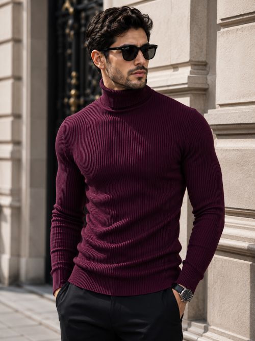 fashlook Men Solid High Neck Maroon Sweater-picture-18