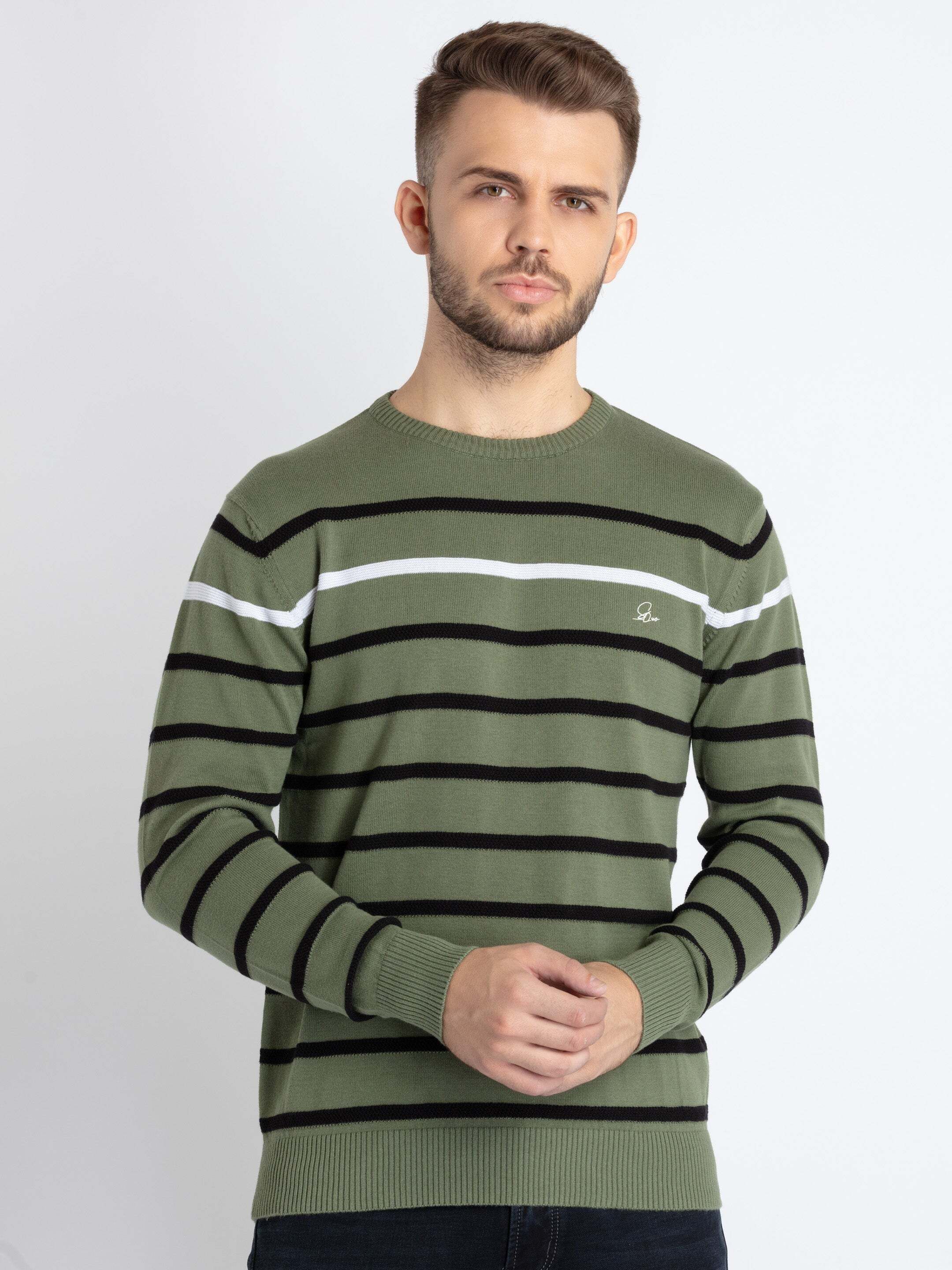 status quo Men Striped Round Neck Green Sweater-picture-15