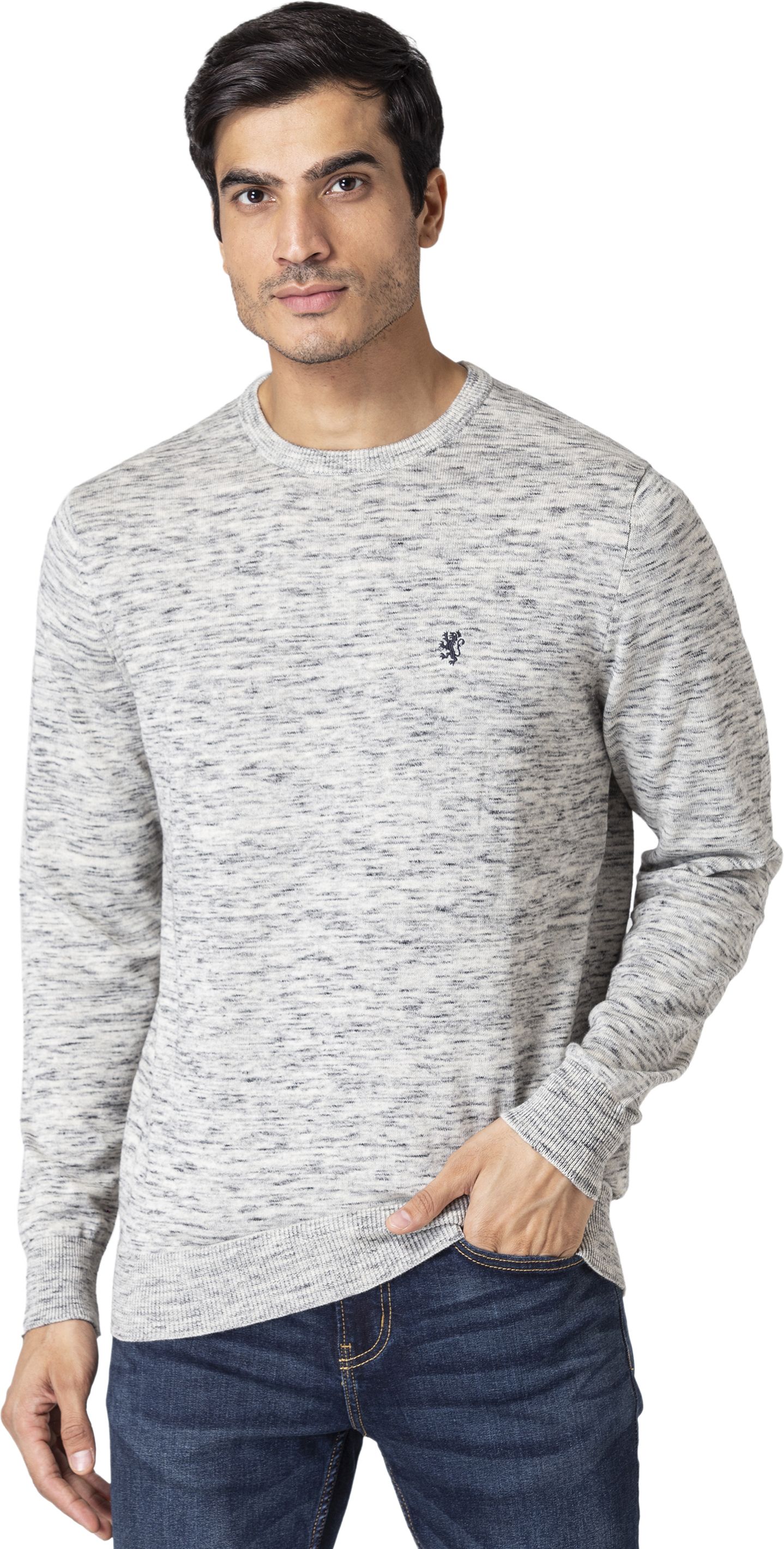 red tape Men Self Design Round Neck White Sweater-picture-35