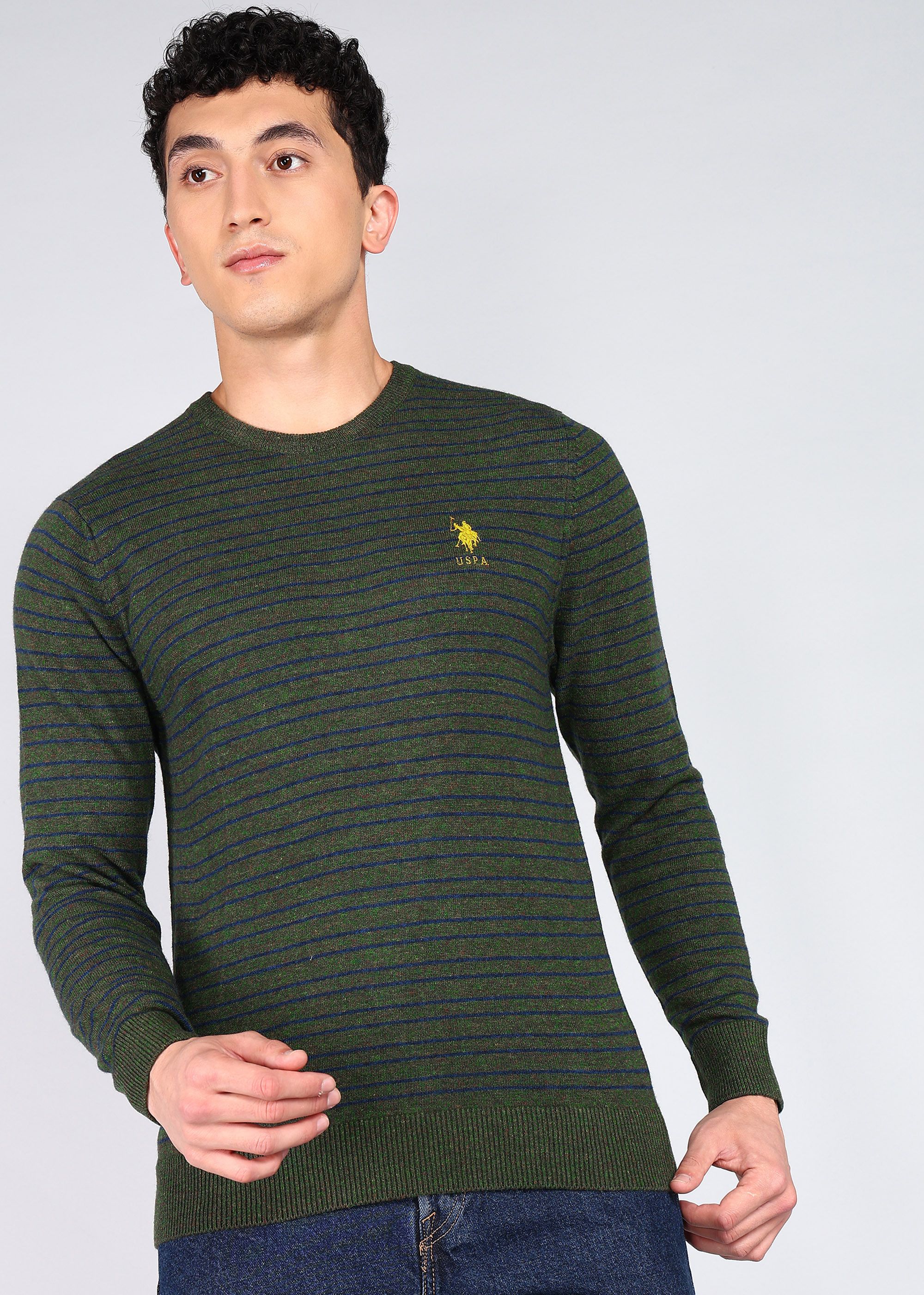 u.s. polo assn. Men Solid Round Neck Green Sweater-picture-28