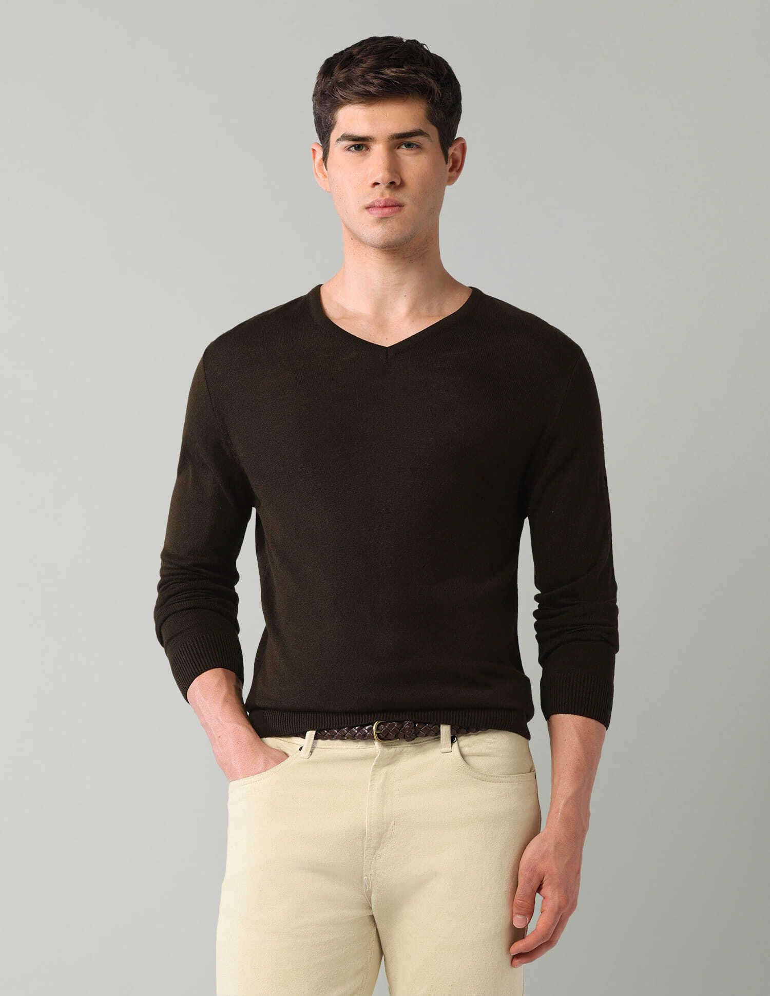 ad by arvind Men Self Design V Neck Brown Sweater-picture-12