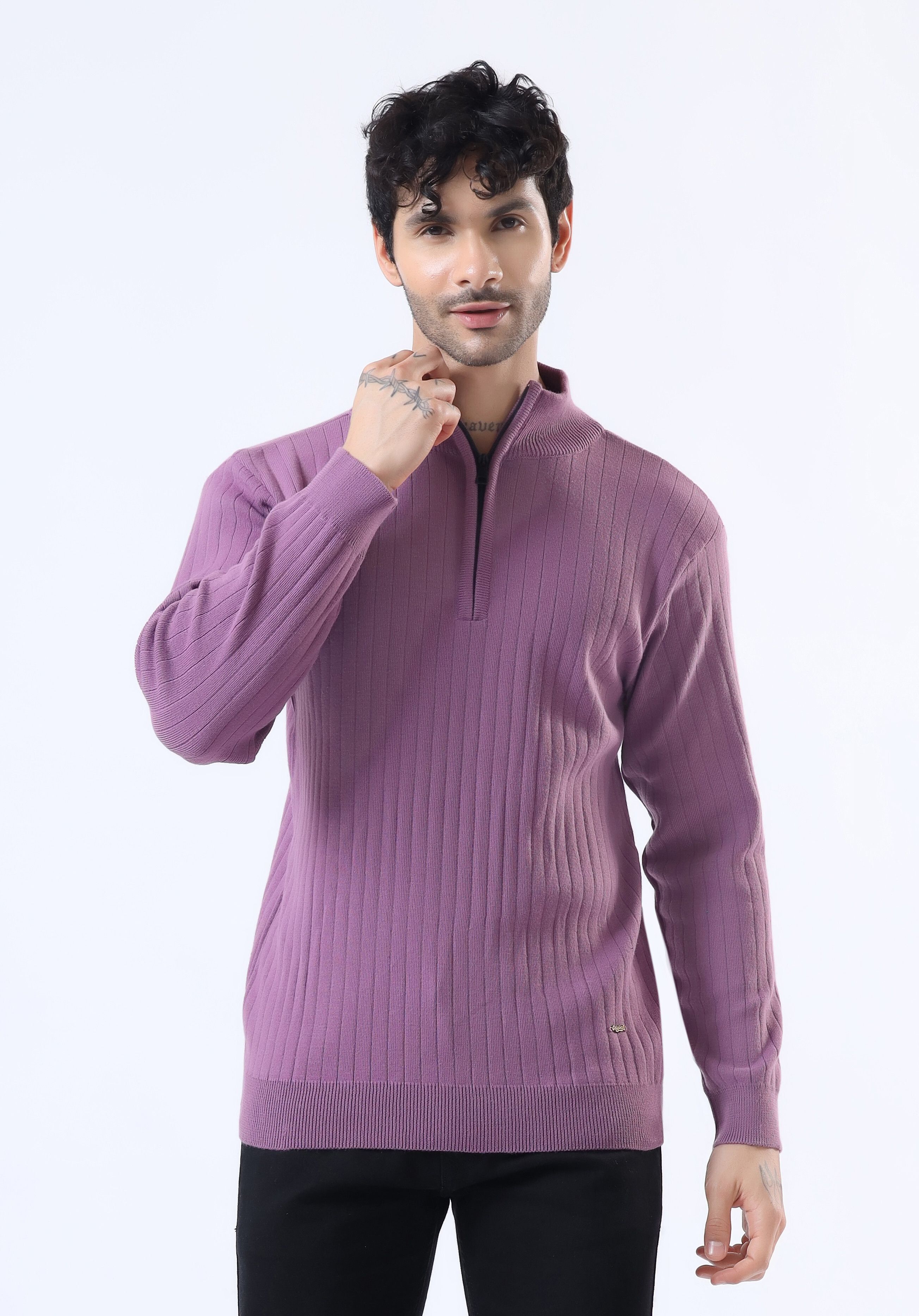Men Solid High Neck Purple Sweater-image-25