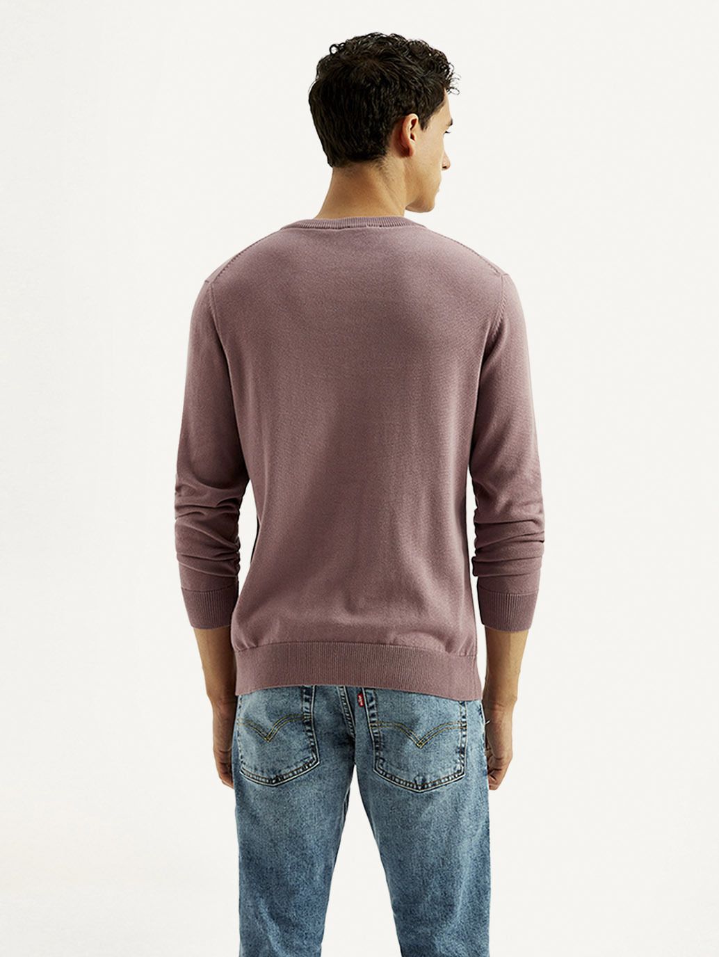 levi's Men Graphic Print Round Neck Purple Sweater-picture-10