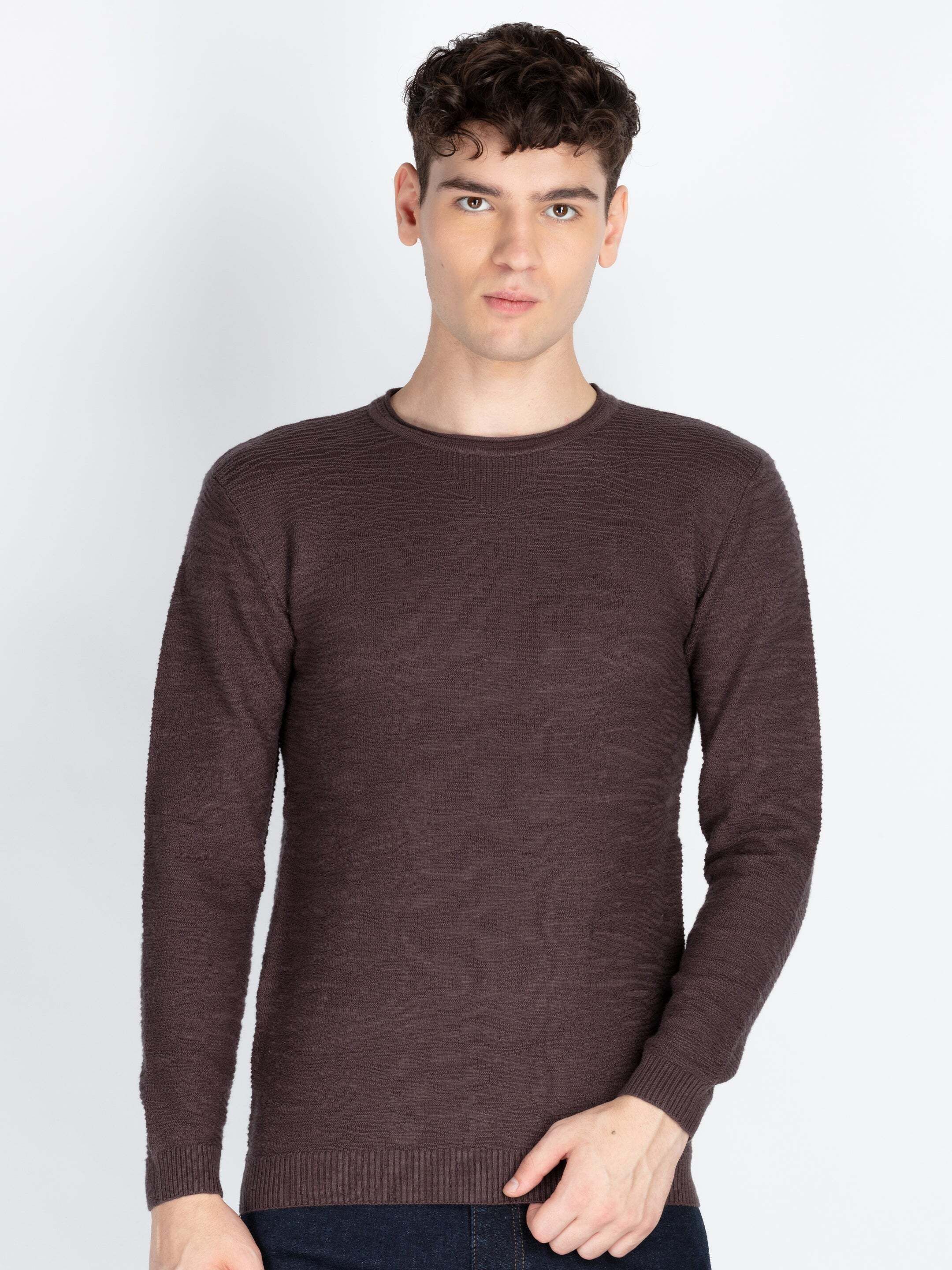 status quo Men Solid Round Neck Brown Sweater-picture-28