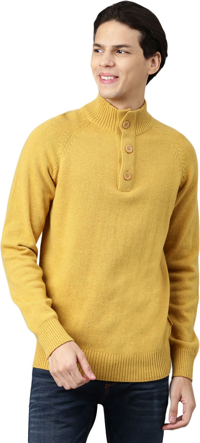 woodland Men Solid High Neck Yellow Sweater-picture-15