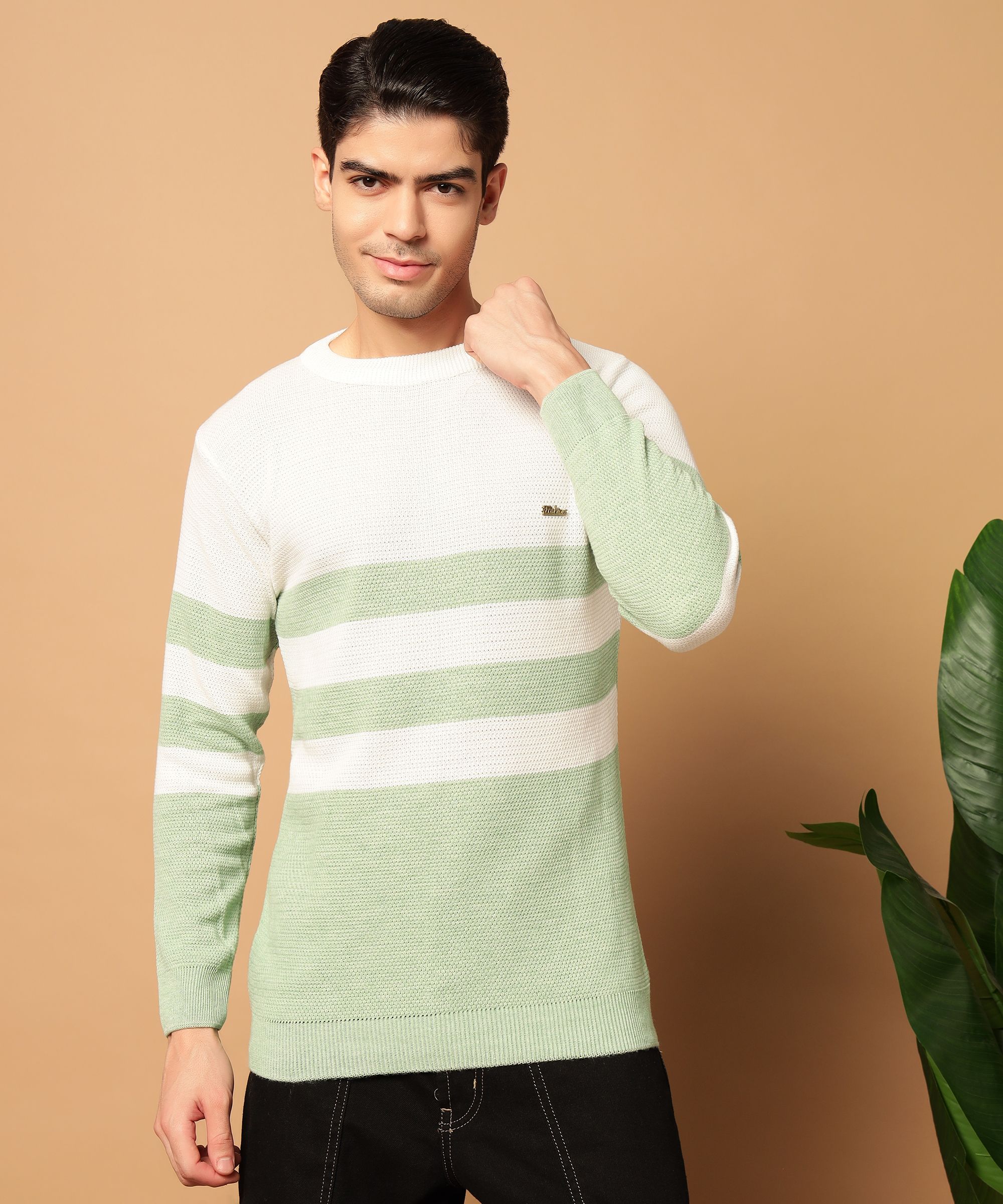 willey Men Striped Round Neck Multicolor Sweater-picture-21