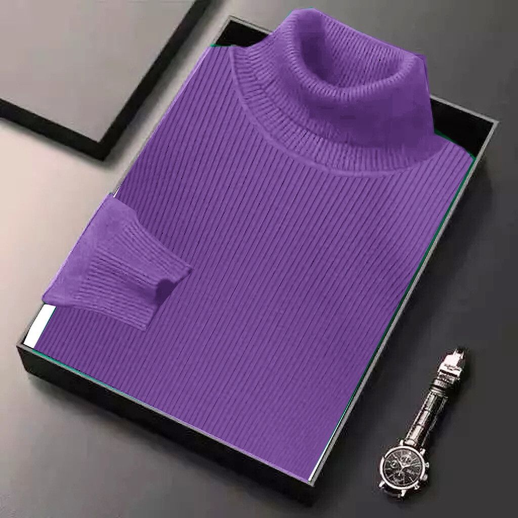 Men Solid High Neck Purple Sweater