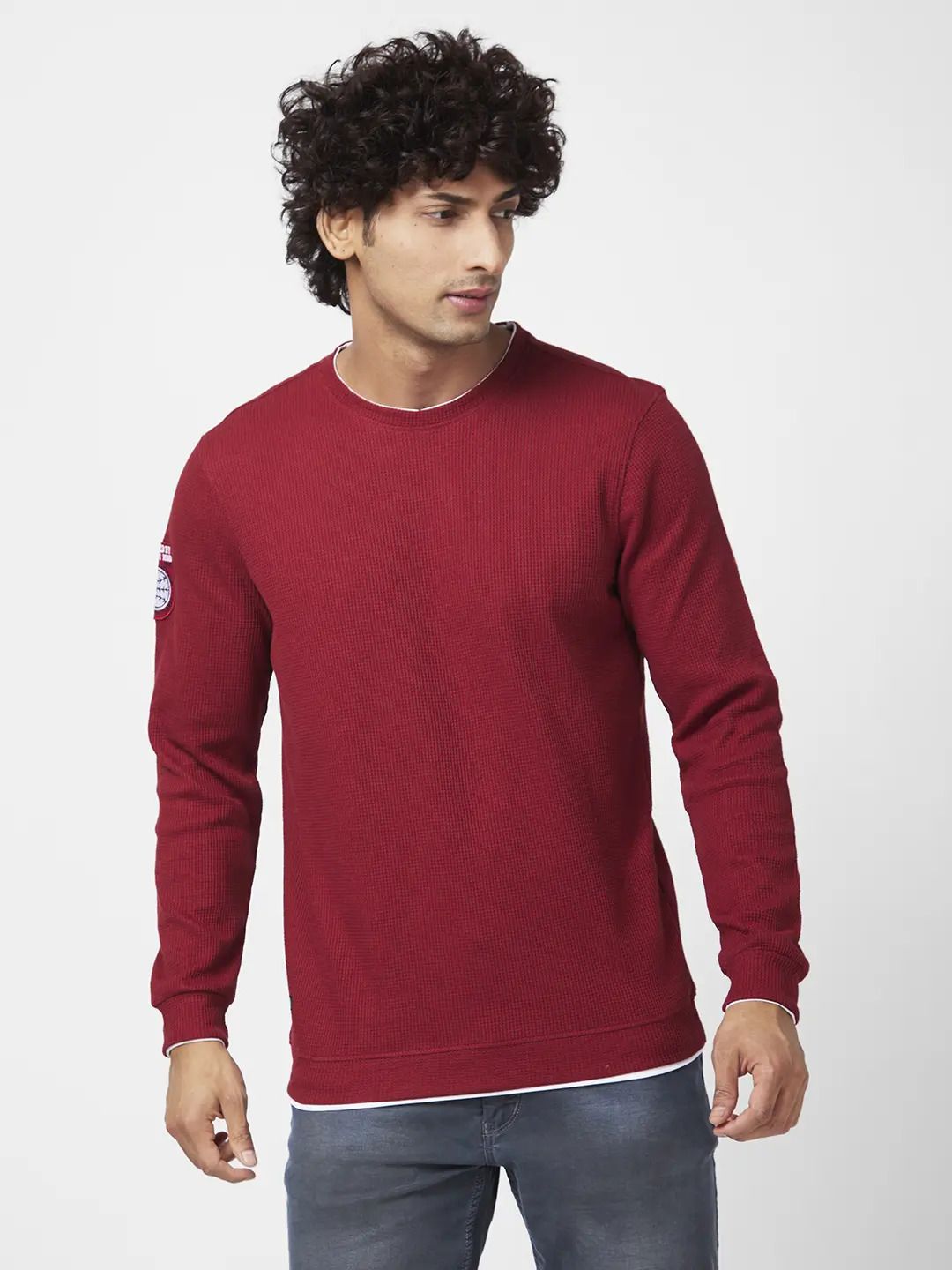 spykar Men Full Sleeve Self Design Sweatshirt-picture-21