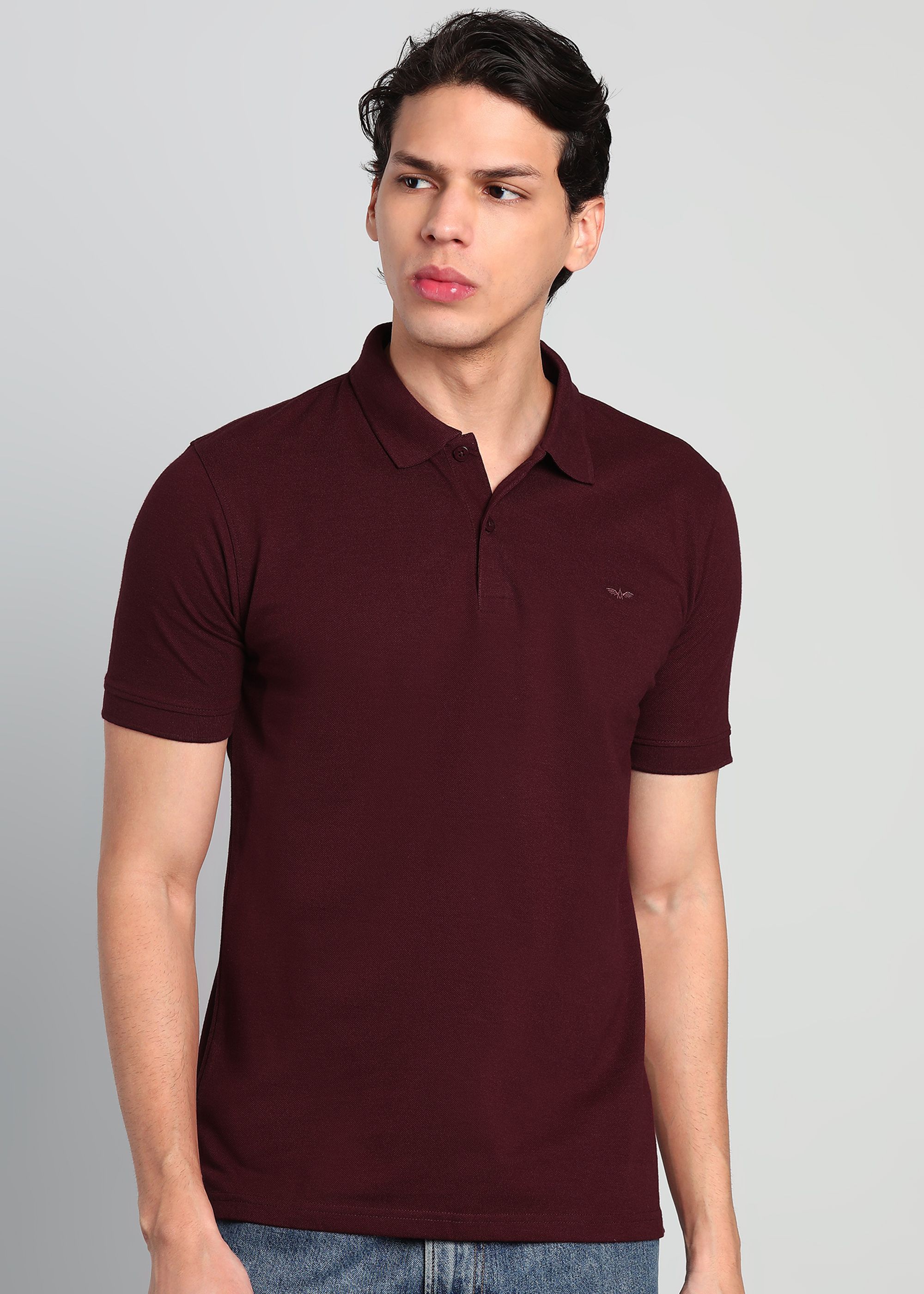 park avenue Men Solid Polo Neck Cotton Blend Maroon T-Shirt-picture-12