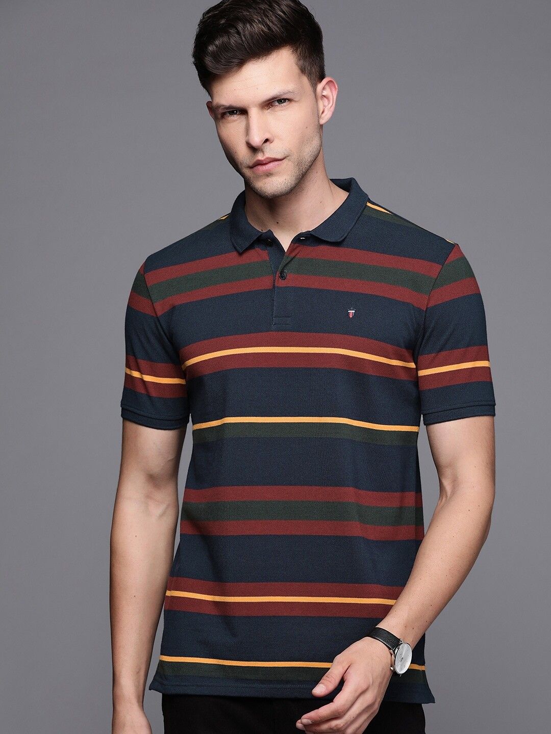 louis philippe Men Striped Polo Neck Pure Cotton Multicolor T-Shirt-picture-11