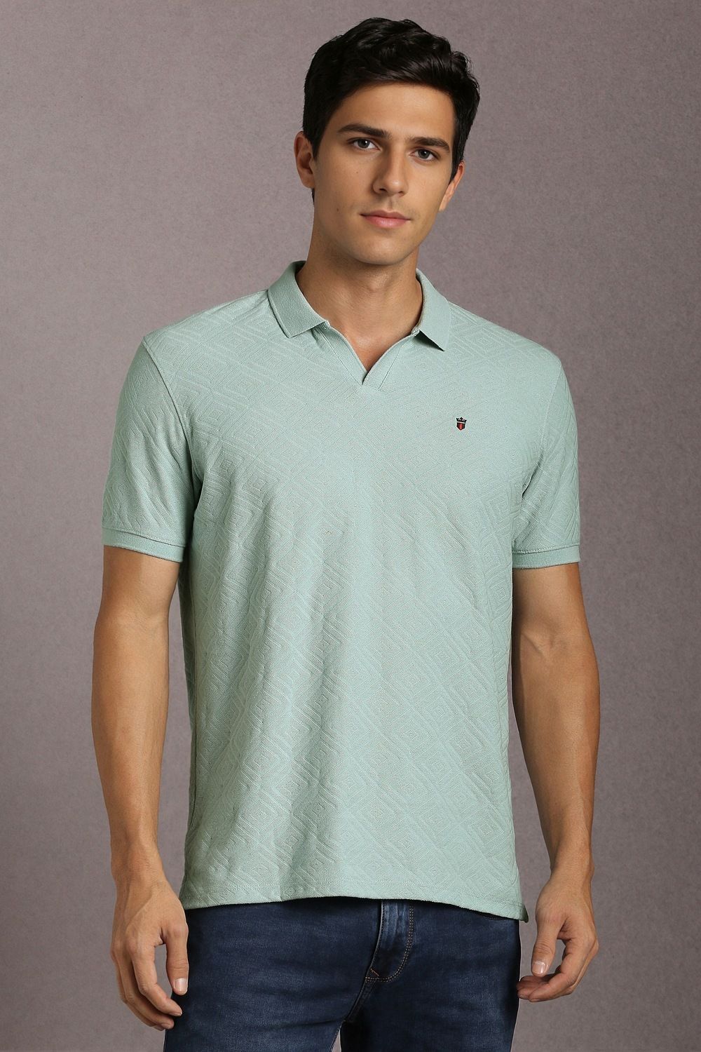 louis philippe jeans Men Solid Polo Neck Pure Cotton Light Blue T-Shirt-picture-12