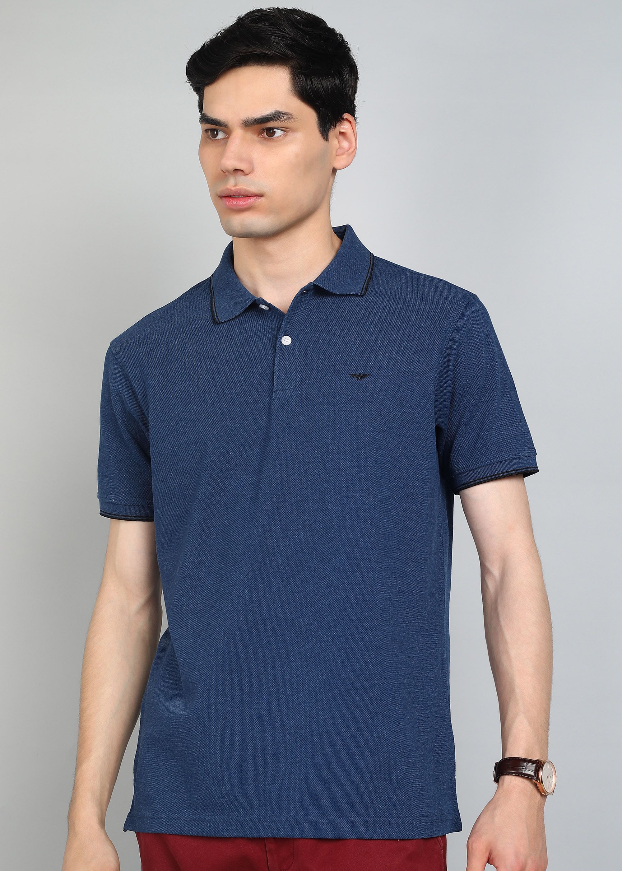 park avenue Men Solid Polo Neck Cotton Blend Dark Blue T-Shirt-picture-28