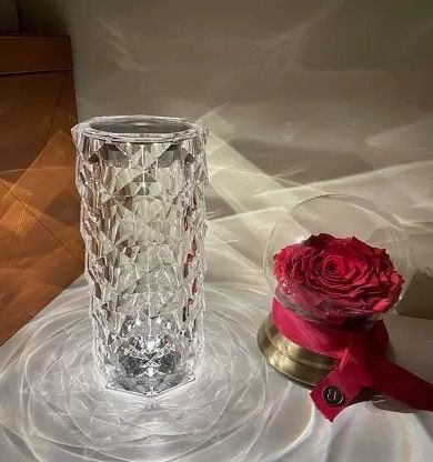 LED Rose Diamond Night Table Lamp -16 Color Changing Lights ,Remote 25 Table Lamp-image-42