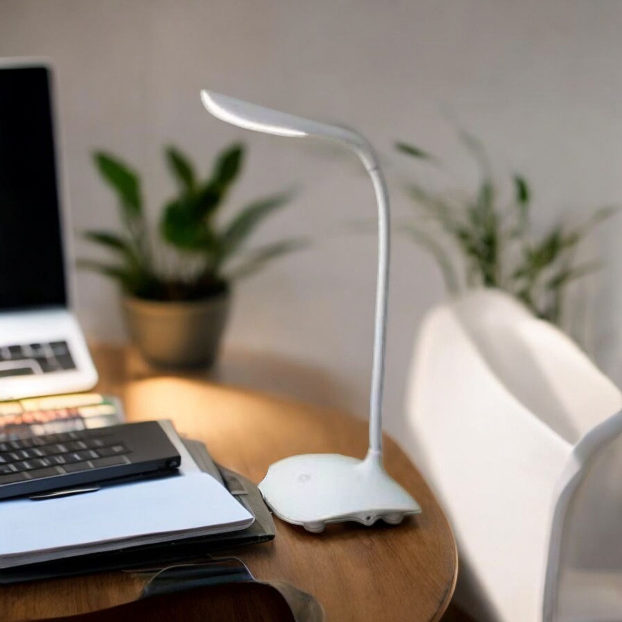 zollyzz ZL-Table_Lamp_Non_Reachargeable-029_L397 Study Lamp-picture-11