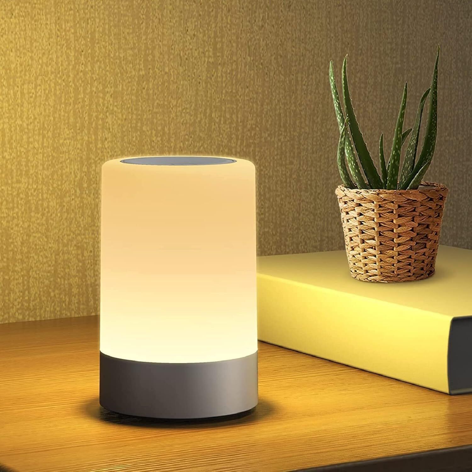 besque Touch LED Bedside Table Lamp, Dimmable Warm White Night Light for Bedroom Night Lamp-picture-28