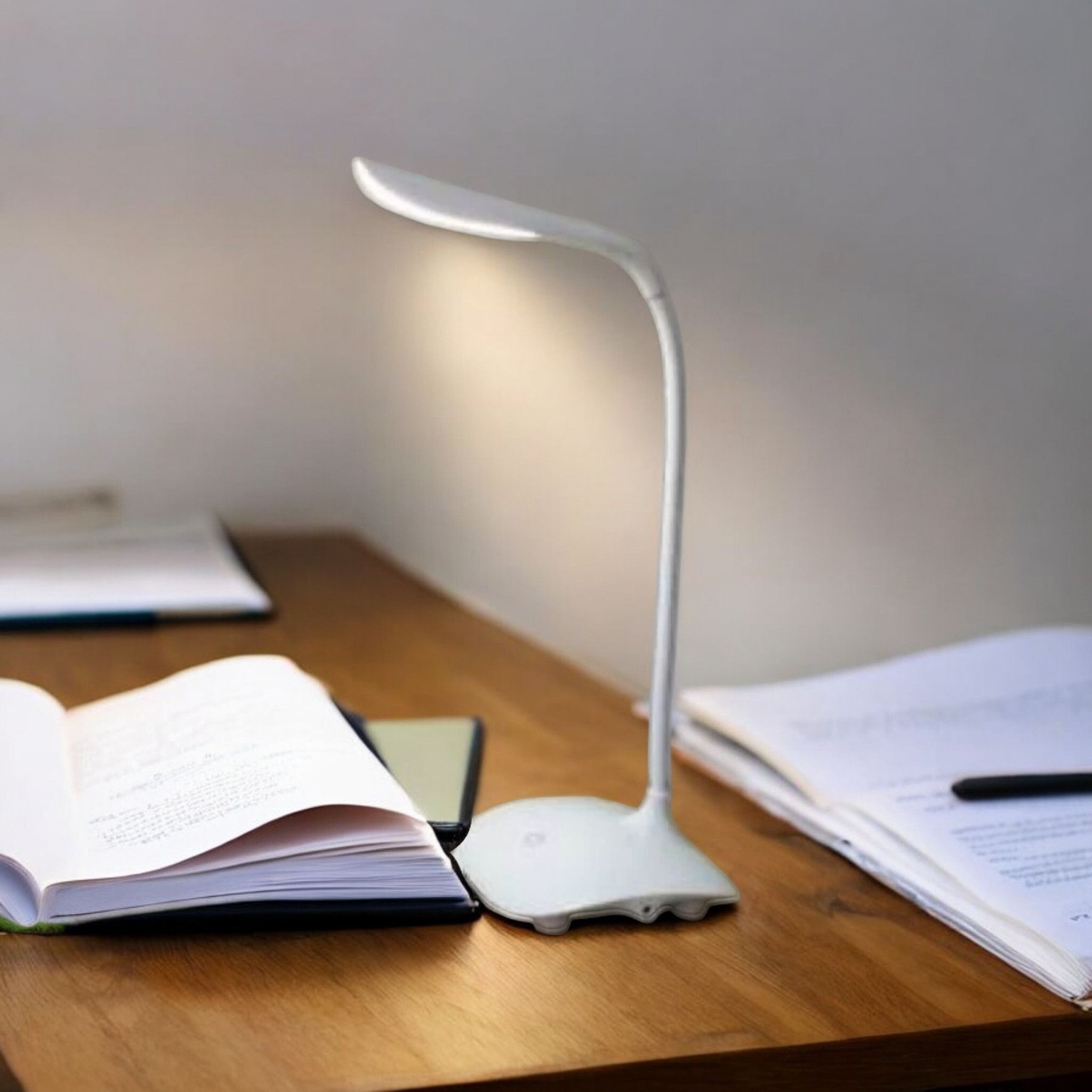 zollyzz ZL-Table_Lamp_Non_Reachargeable-036_L1846 Study Lamp-picture-21