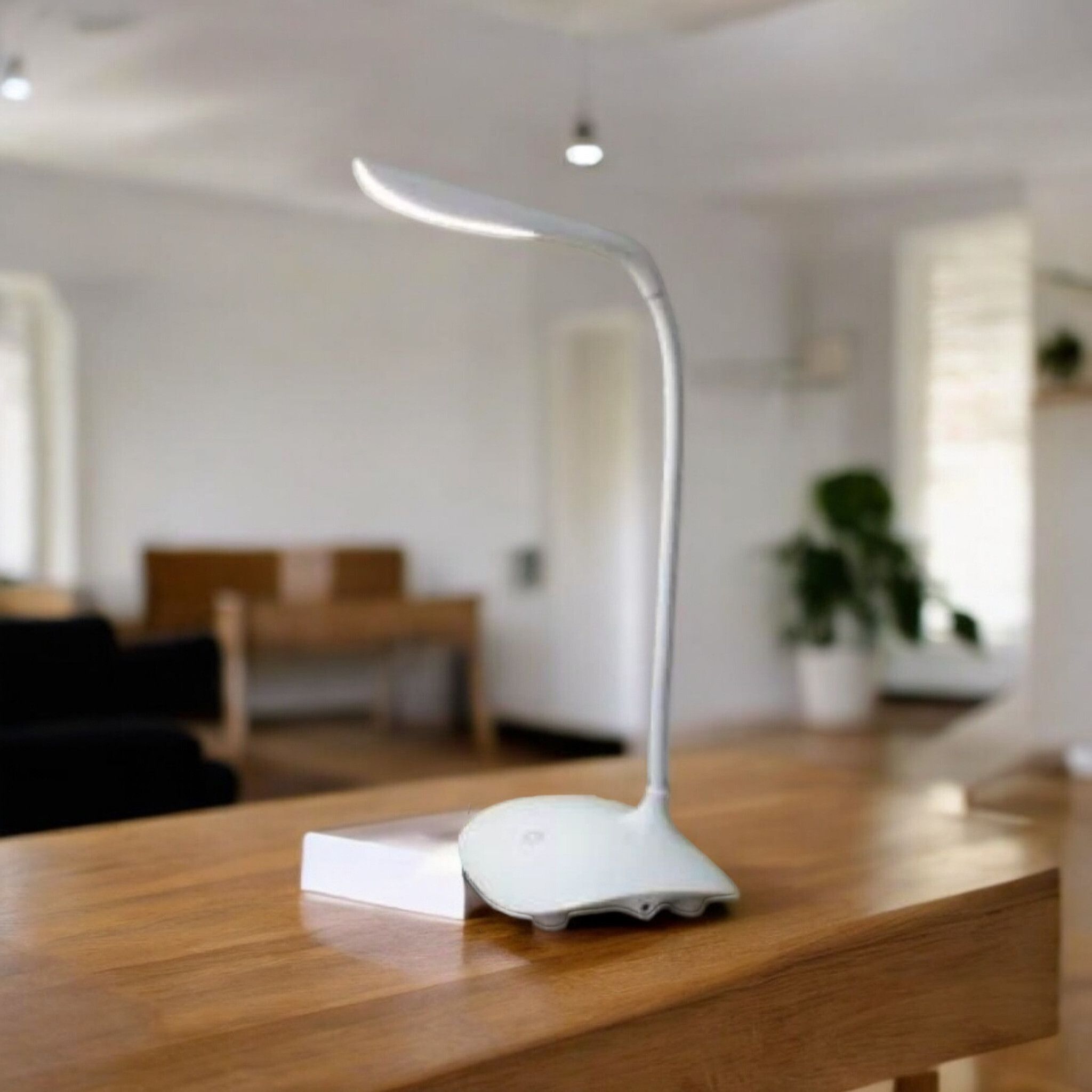 bhajanlal greenery USB LED Desk Lamp Table-17_L1622_L435 Study Lamp-picture-20