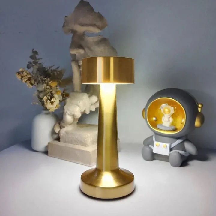 imnishnay Cordless Portable LED Table Lamp, USB Rechargeable Desk Lamp Study Lamp-picture-0