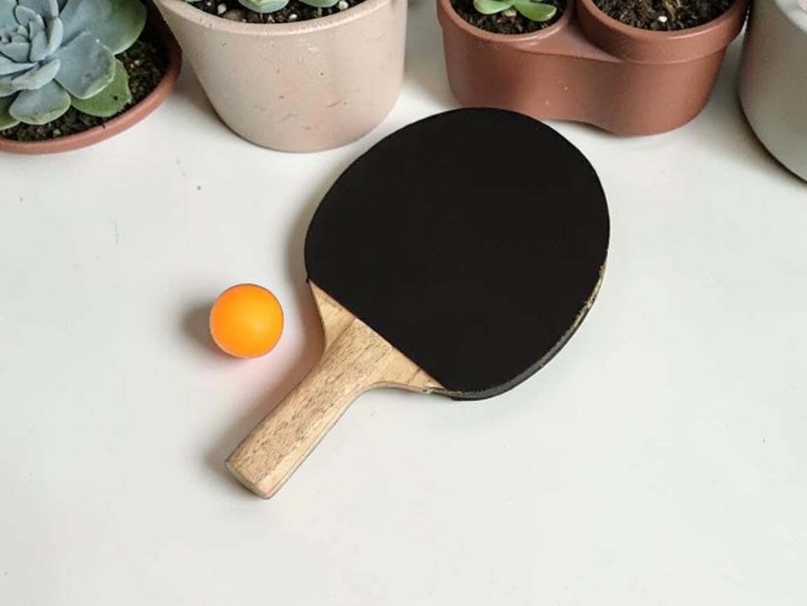 colurbee Table Tennis Paddle with 3 balls Rollaway Outdoor Table Tennis Table-picture-20