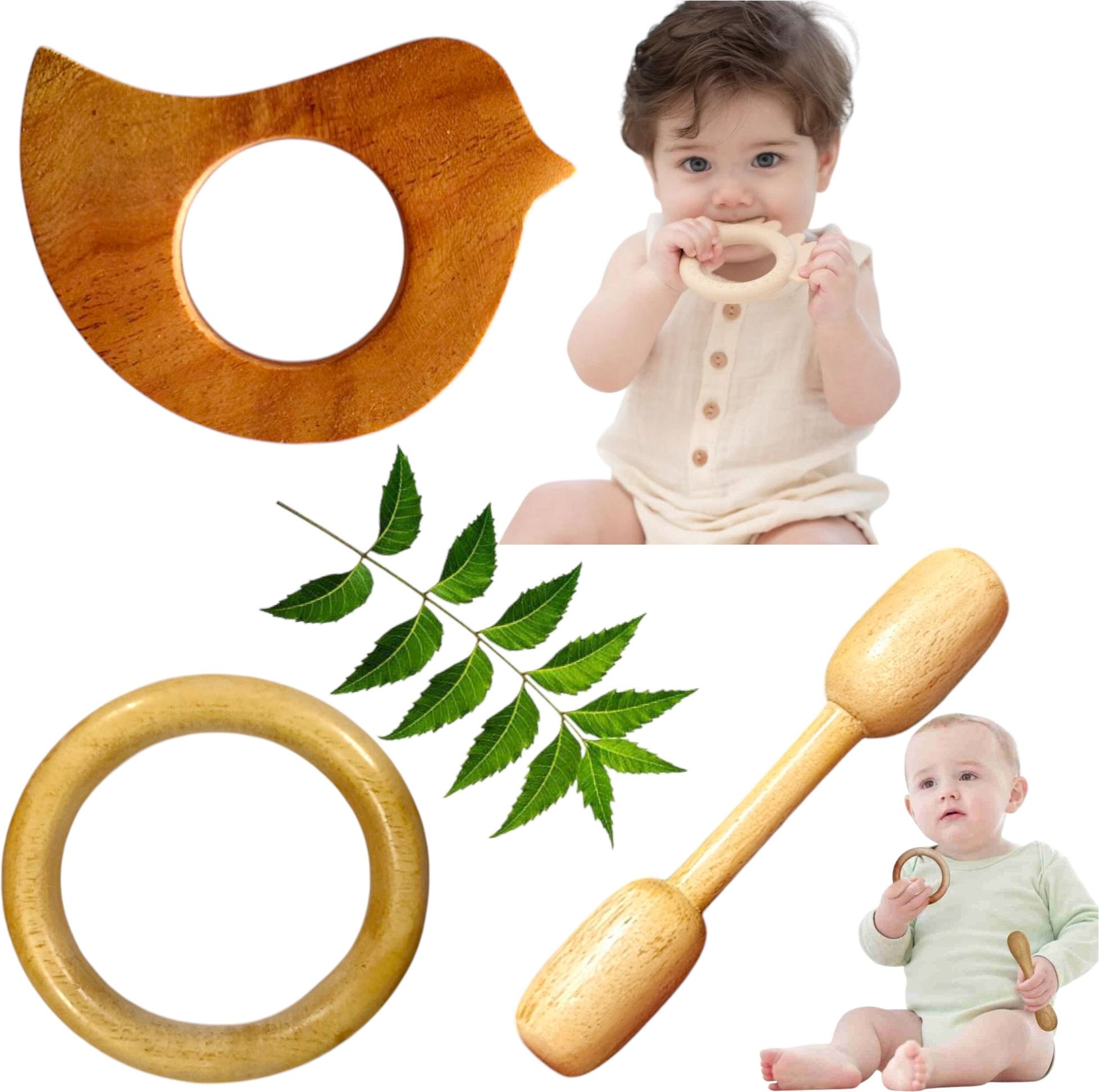 Pure, Safe & Natural Comfort Feeder