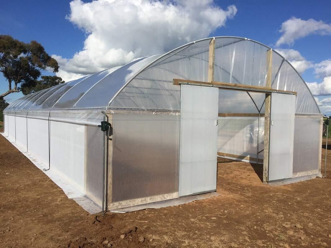 diamond america Green House Transparent Sheet for Imported 550-GSM Greenhouse Tent - For UV Treated Dust-Proof Waterproof Sheet Cover (25 x 30 Ft)-picture-36
