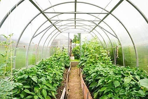 diamond america Heavy Duty Transparent Plastic Roll for Green House 15 FT x 37 FT 650-GSM Tent - For UV Treated Dust-Proof Waterproof Sheet-picture-20