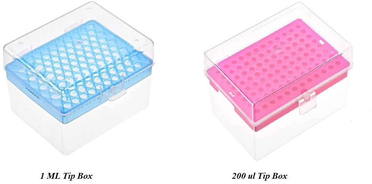 2 Pcs Lab Micro Tip Stand Hold Tips of 1000 ul & 200 ul Polypropylene Test Tube Rack-image-42