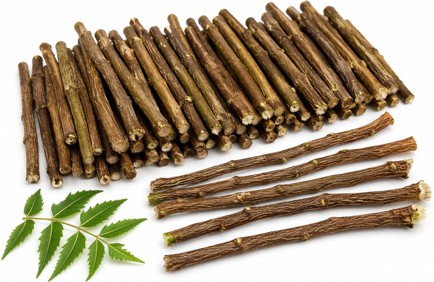 siyaaro 100% Natural Neem Twigs Soft Toothbrush-picture-27