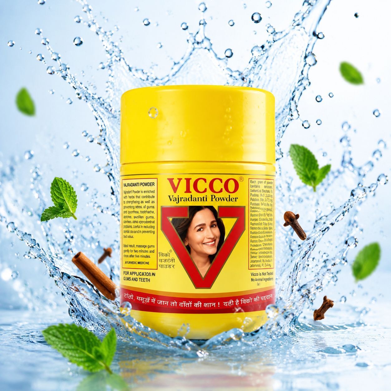 vicco Tooth Powder I For Daily Uses-picture-1