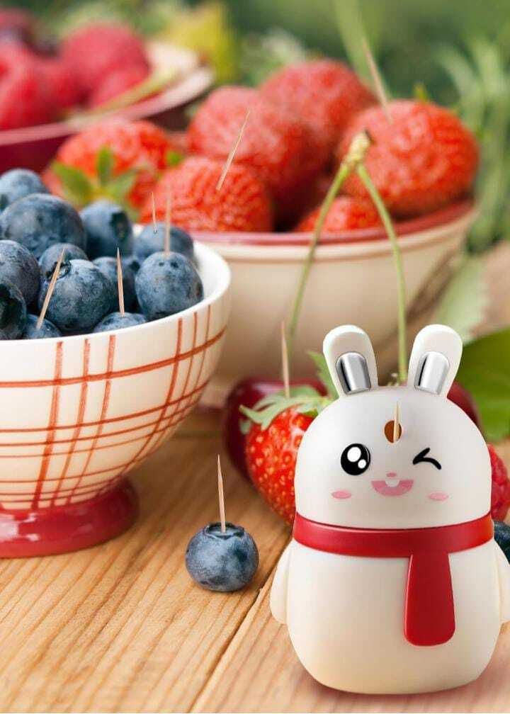 ritesh Toothpick Holder-picture-11