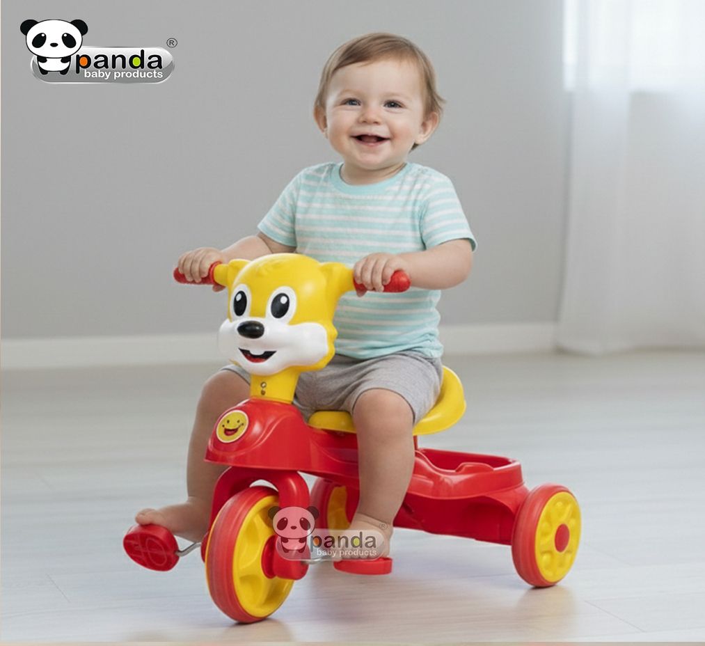 panda baby products Chikoo Tri-Cycle for Kid's Chikon-04 Tricycle-picture-1