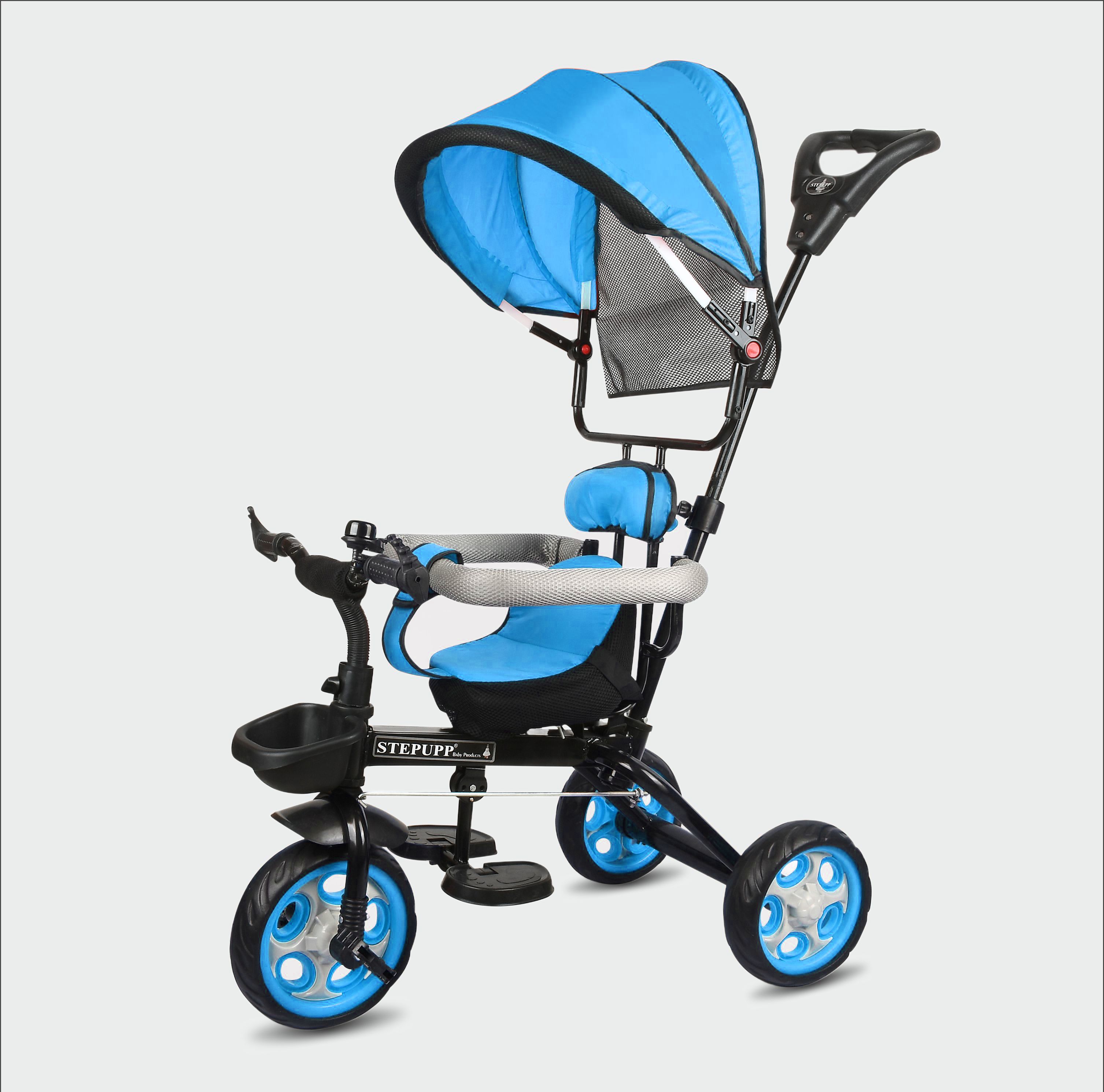 Small kids Tricycles |Cycles for Kids | Cycle for Baby with Parental Control LSN CANOPY BLUE Tricycle-image-9