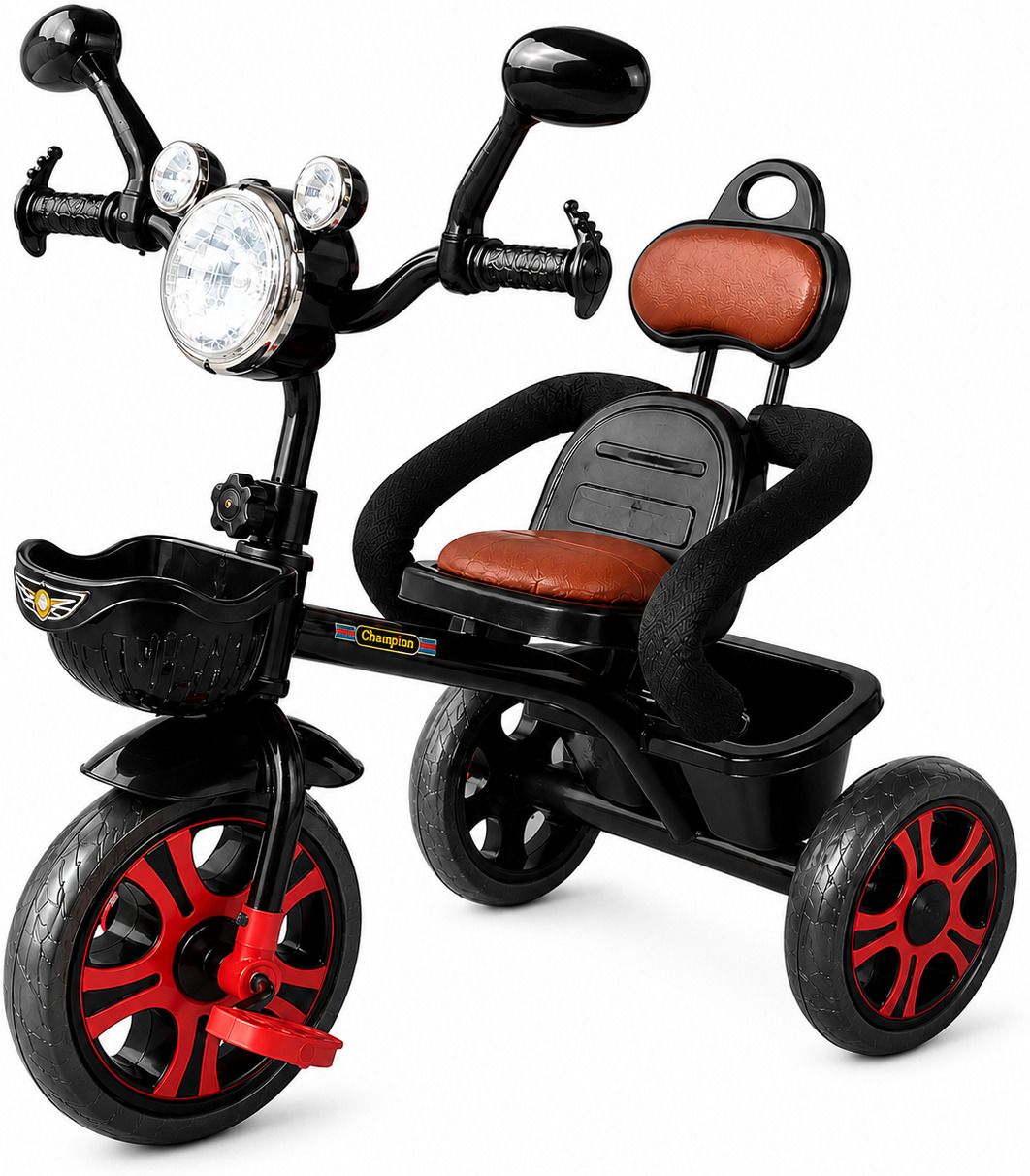 champion CO-160 Alpha-1 Tricycle-picture-26