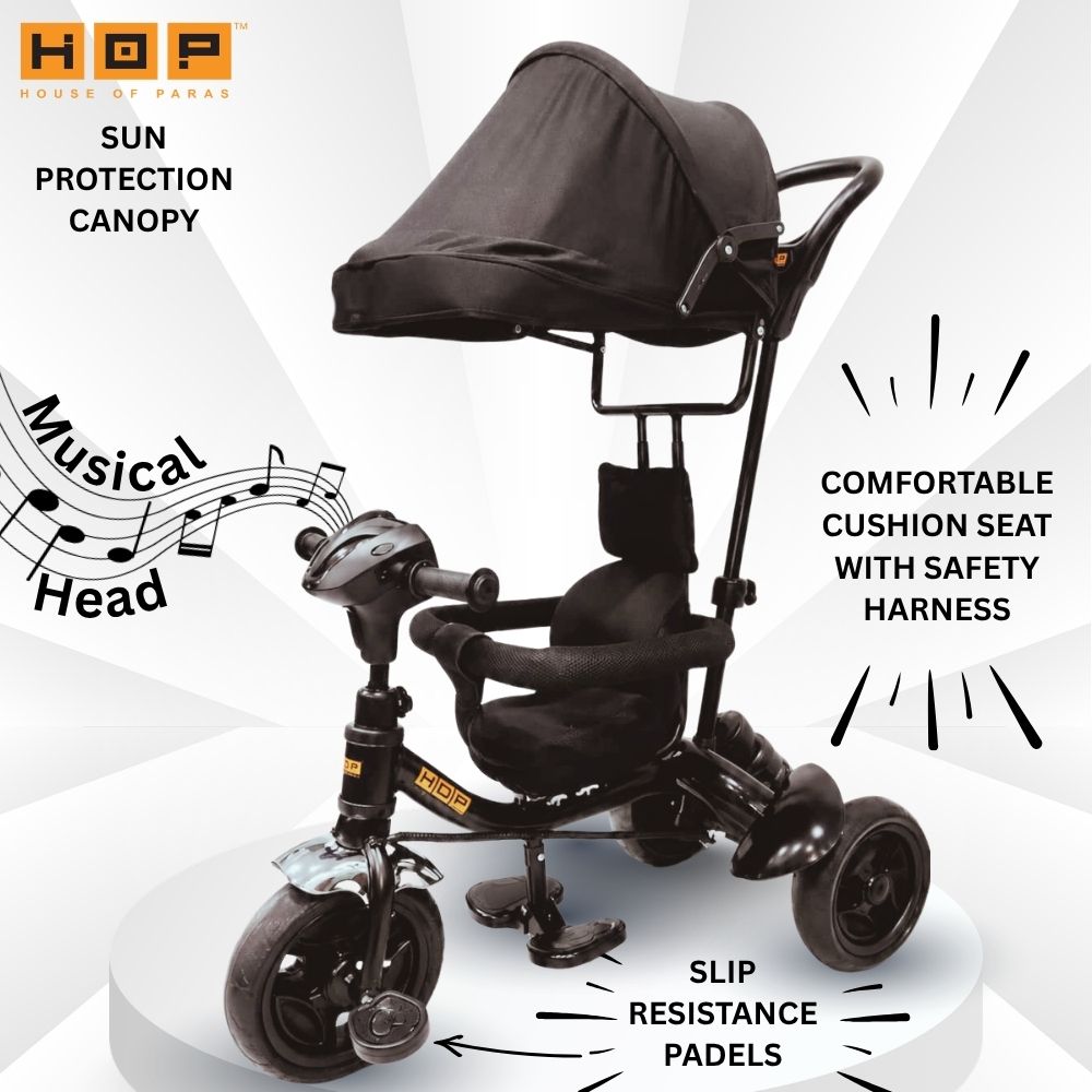 hop HT-01 HT-01 Tricycle-picture-13