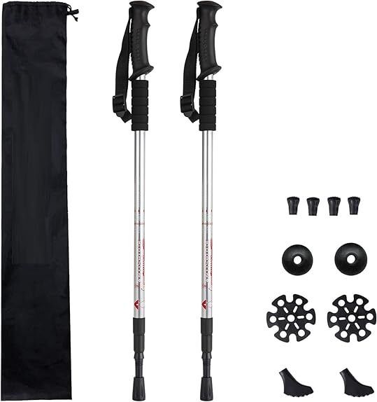 3 Section Trekking Pole