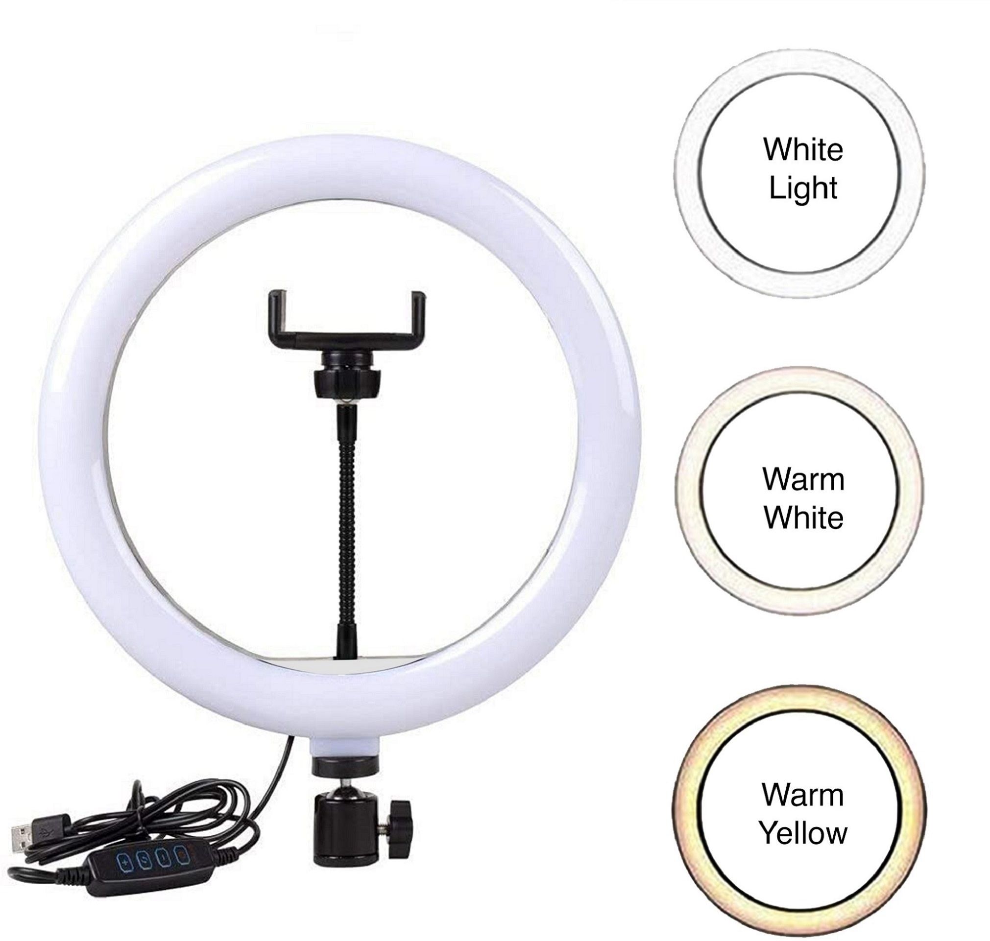 Flipkart SmartBuy Ring_flash 10 inchesB Ring Flash-picture-24