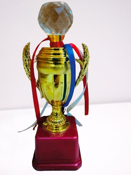 Mini Cup Black Base Golden Winning Trophy/Award for Winners (28 CM) Trophy-image-45