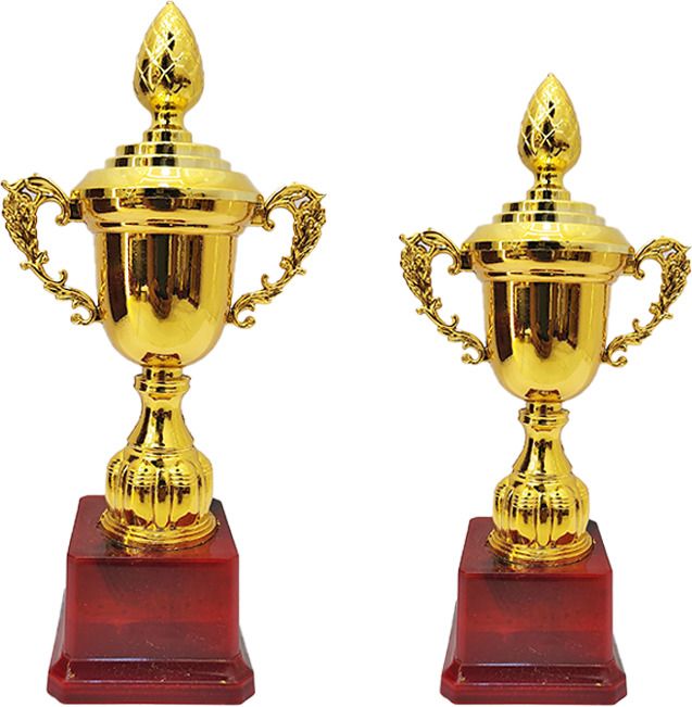 bareezé pure Trophy Set of 2 For Party Celebrations, Ceremony, Appreciation Sport, Awards Trophy-picture-10