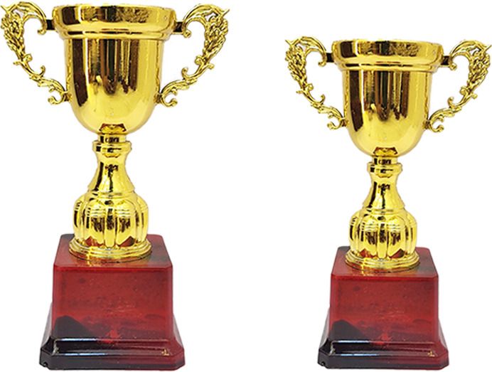 Winner & Runner Up Trophy/Award Sport Tournament Competition Kids Parties Trophy Trophy-image-35